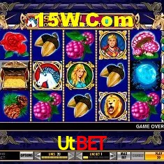 VIP Bronze Benefits